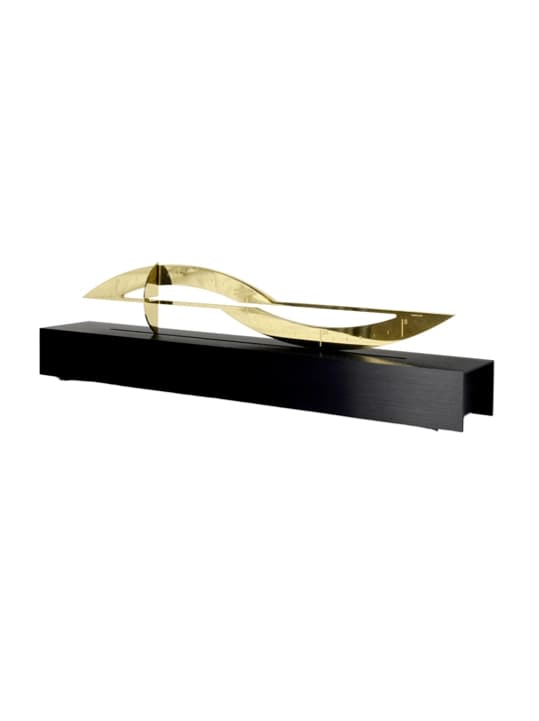 THE POLISHED BRASS